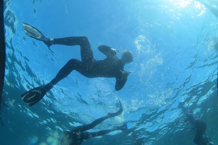 3-Hour Kayak and Snorkeling Experience in Batemans Bay