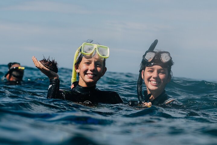 3-Hour Kayak and Snorkeling Experience in Batemans Bay