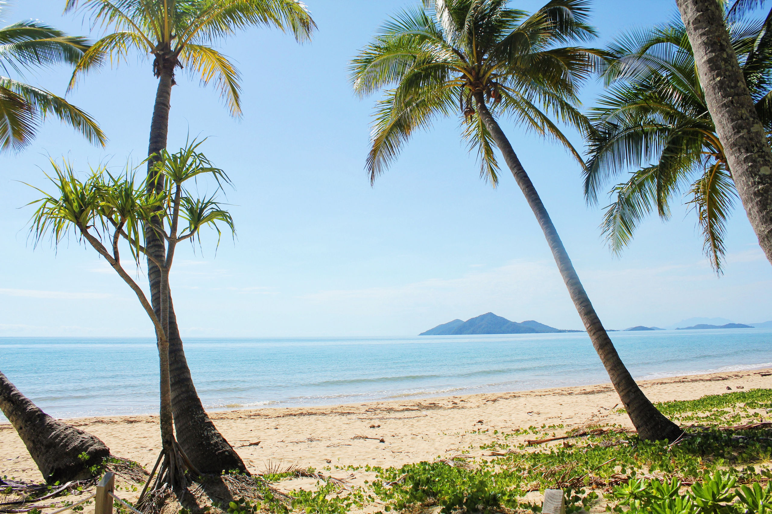 Dunk Island Adventures & Mission Beach | Cairns Day Return | 6.30am