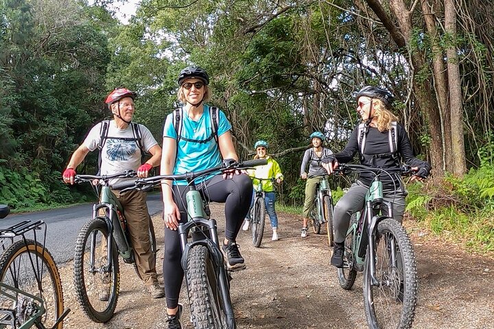 Self Guided E Bike Tour - Hinterland, Rainforest & Waterfalls