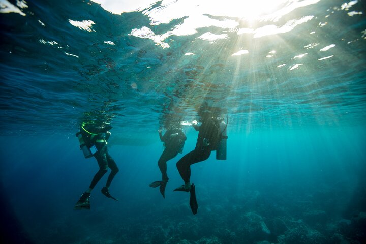 Half-Day Private PADI Discover Scuba Diving in New South Wales