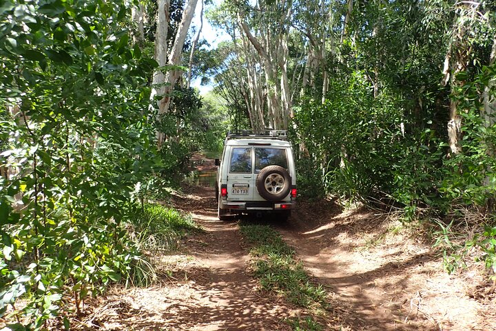 Cairns 4WD Rainforest Waterfall Tour Including a GBR Island Tour