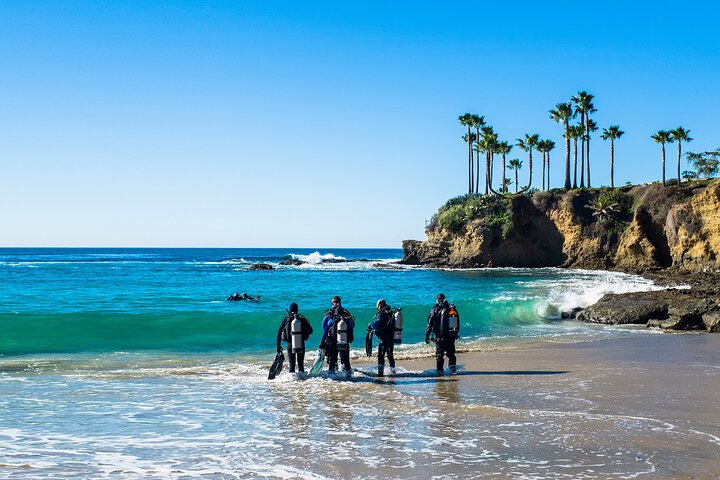 Half-Day Private PADI Discover Scuba Diving in New South Wales