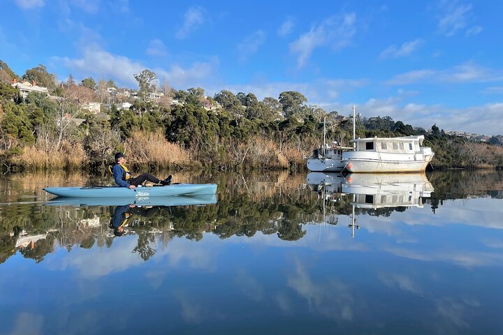 Guided Kayak Tour on Launceston's scenic waterfront on foot powered Hobie kayaks