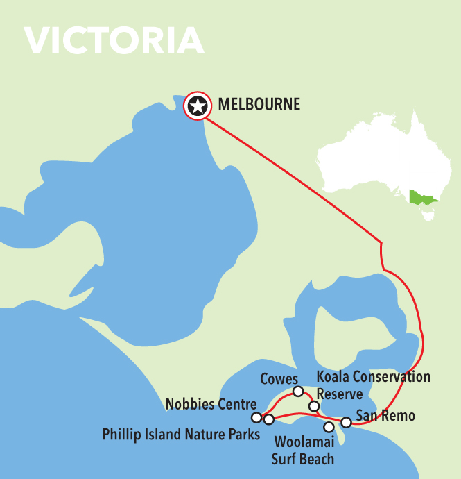 Autopia Tours: Phillip Island & Koala Highlights - Penguins General Viewing