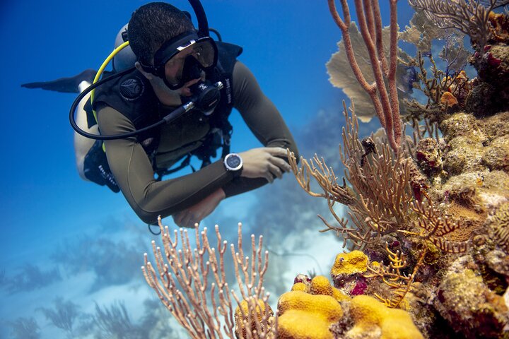 Half-Day Private PADI Discover Scuba Diving in New South Wales