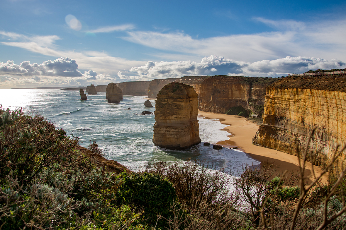 Autopia Tours: Great Ocean Road Experience