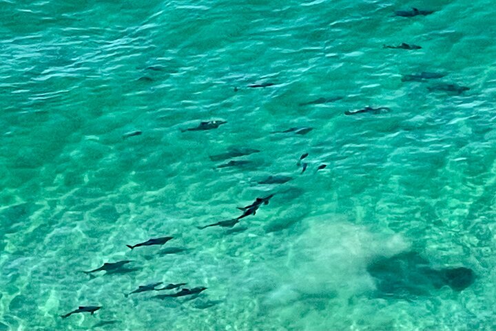 Byron Bay Bus Day Trip