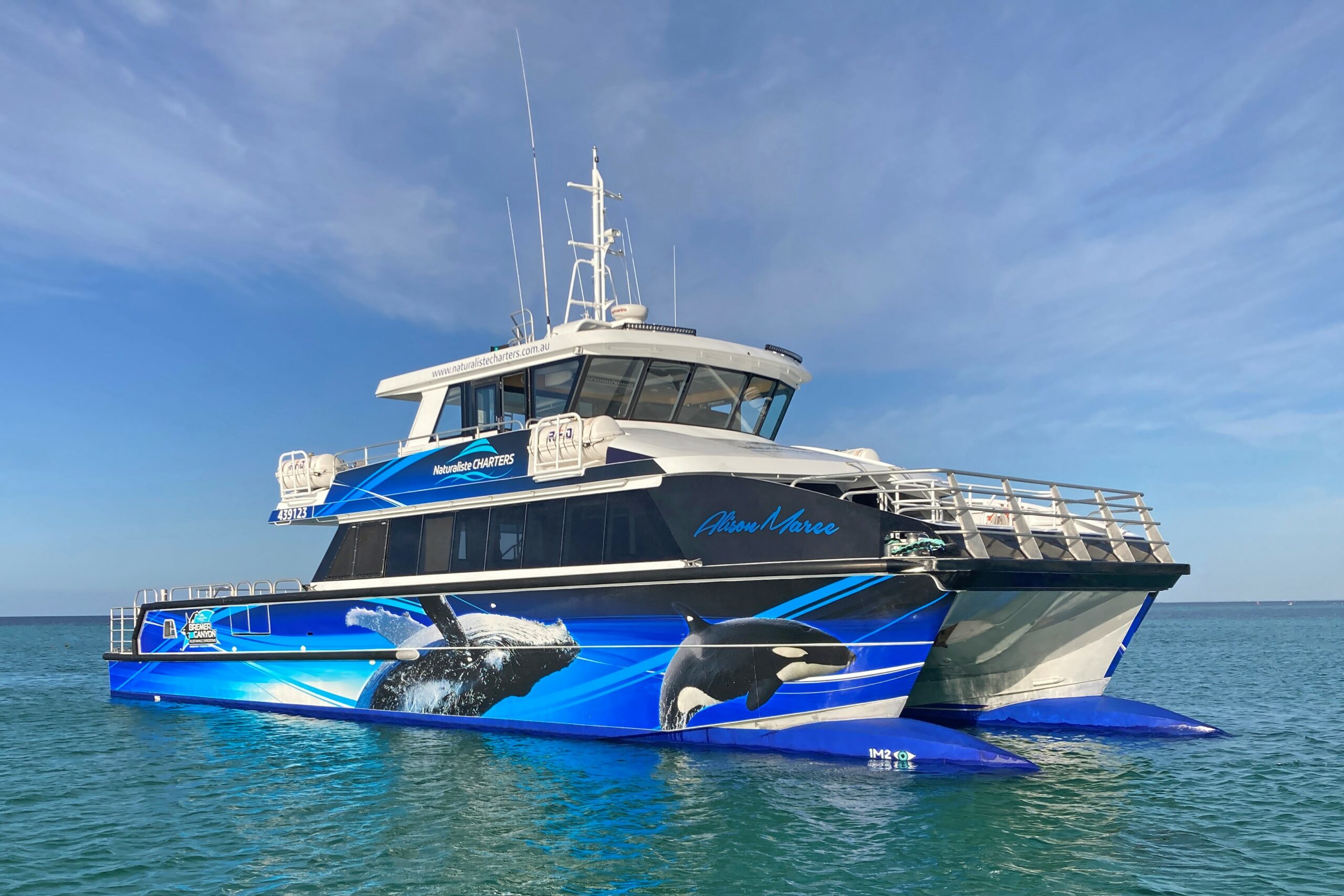 Bremer Canyon Killer Whale (Orca) Expedition