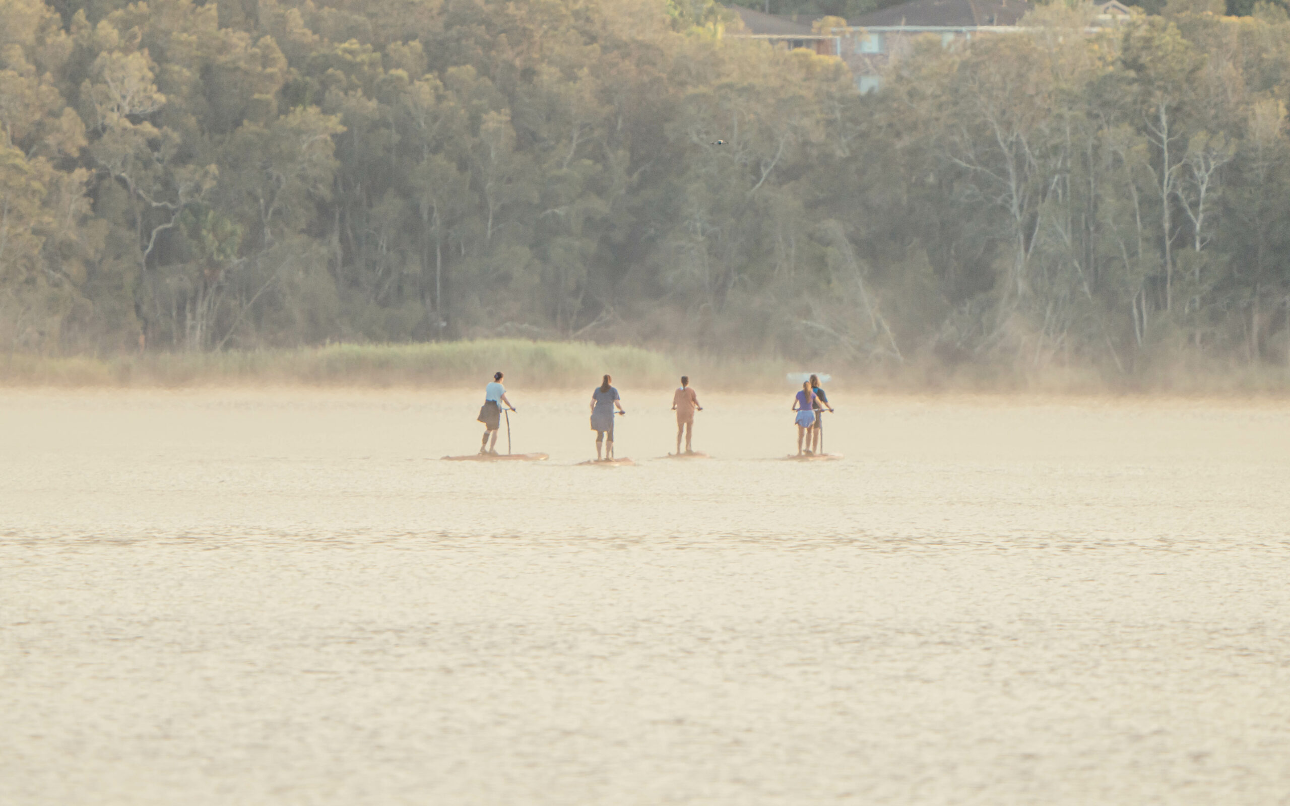 Morning Group Class - Step Up Paddle Board (SUP) - Narrabeen Lagoon