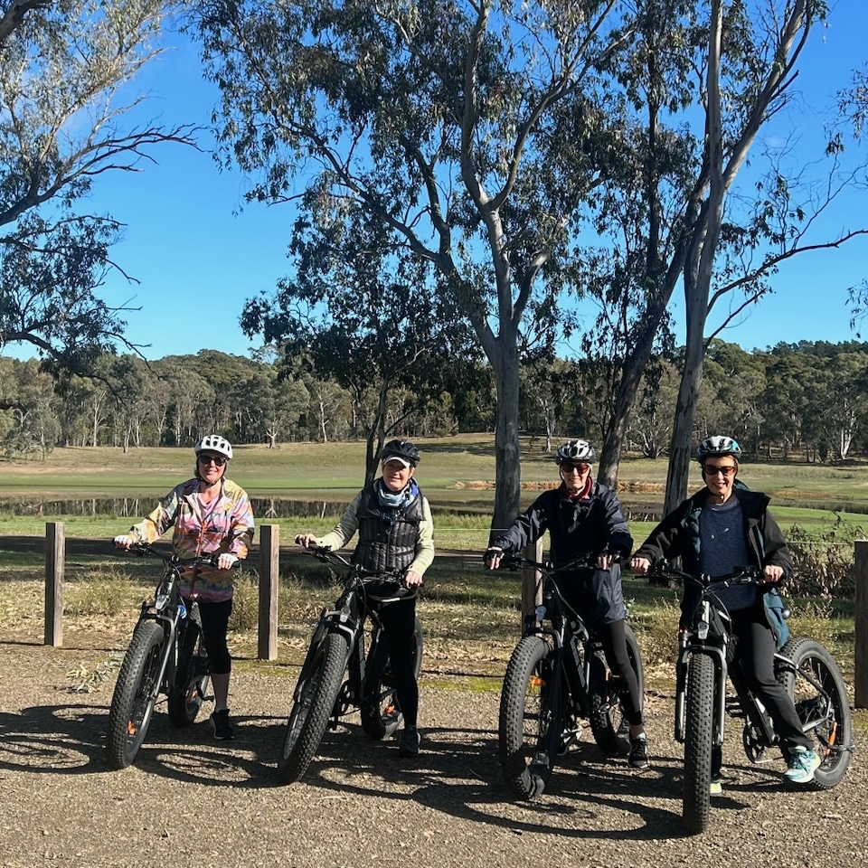 Barossa eBikes - Hire Only