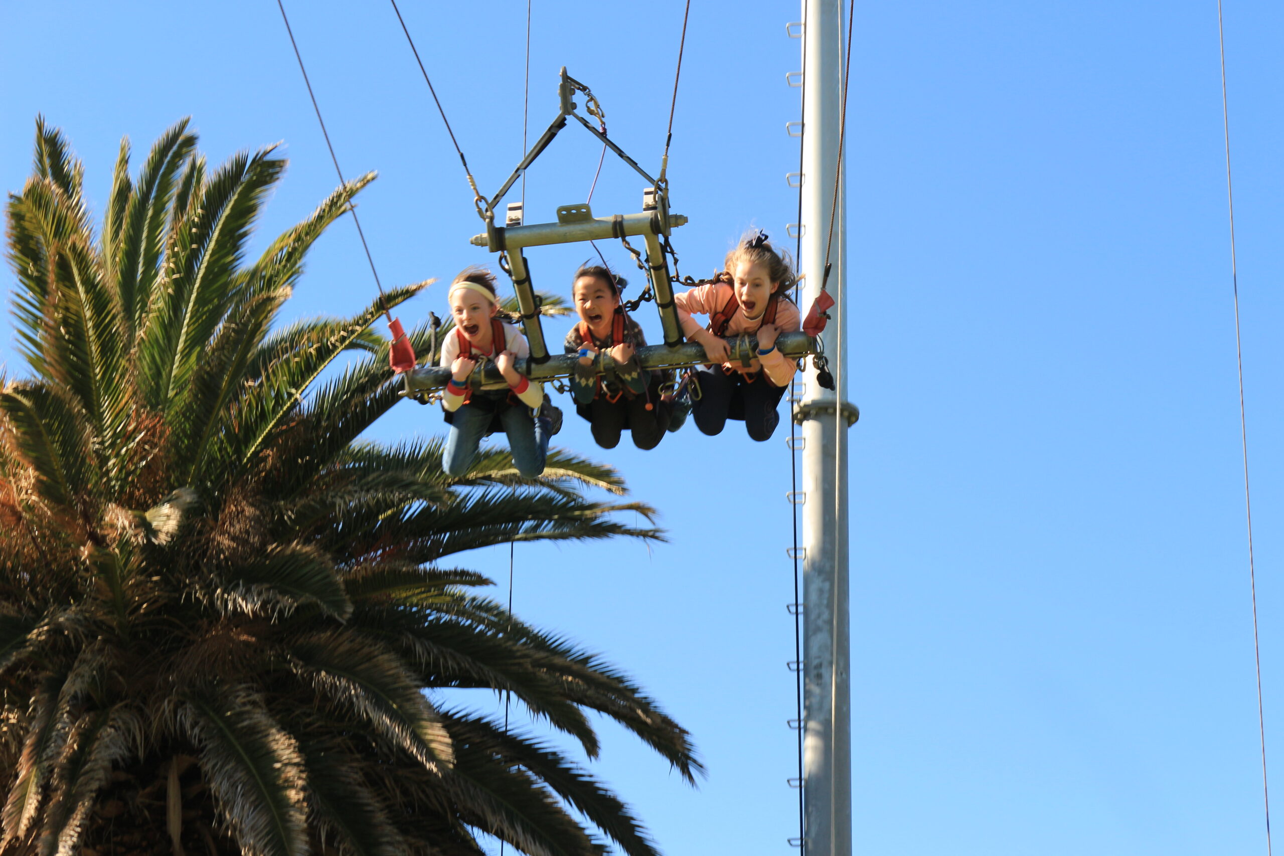 MegaClimb + Giant Swing, Australia Activities in Australia