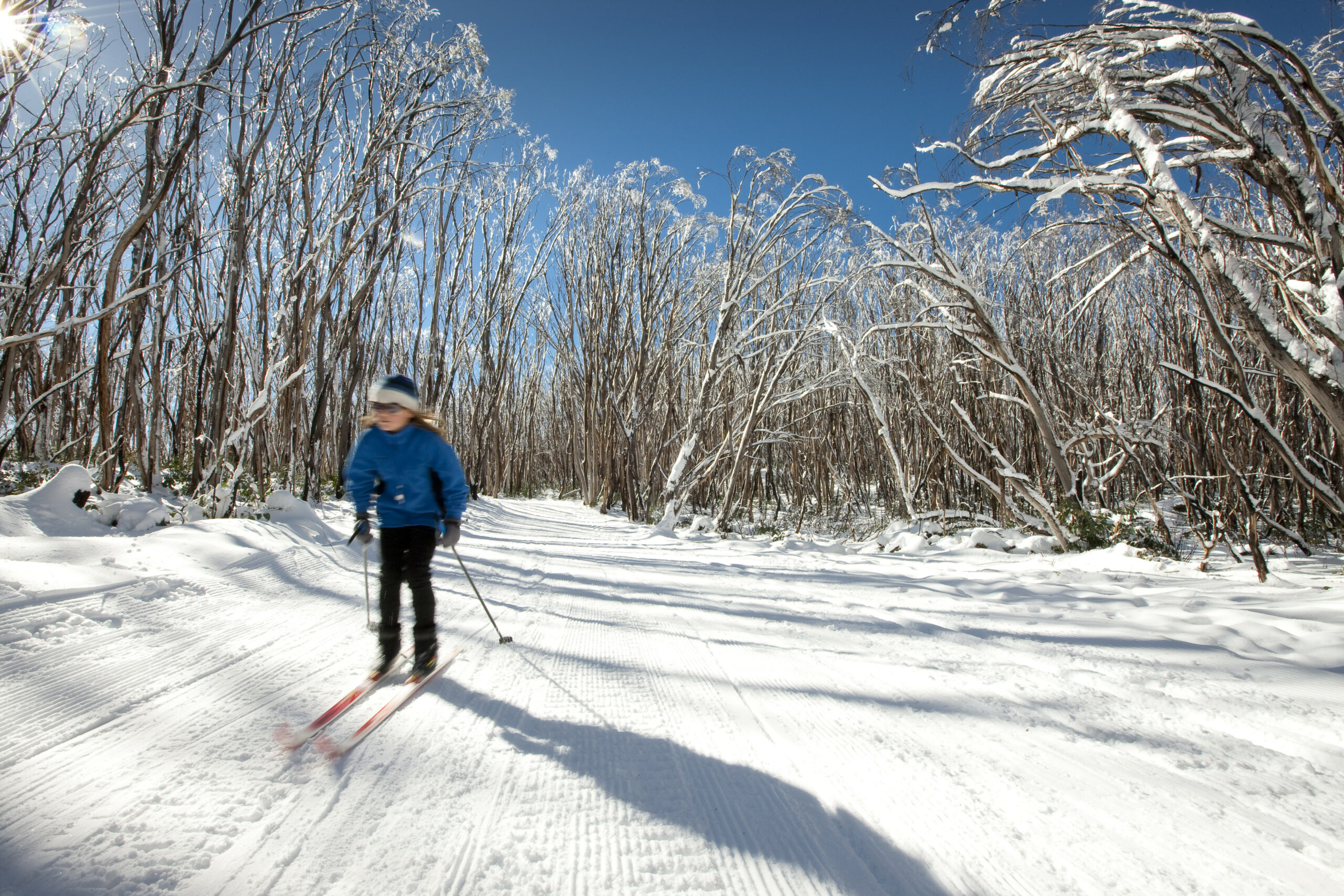 Autopia Tours: Lake Mountain Snow and Waterfalls Tour