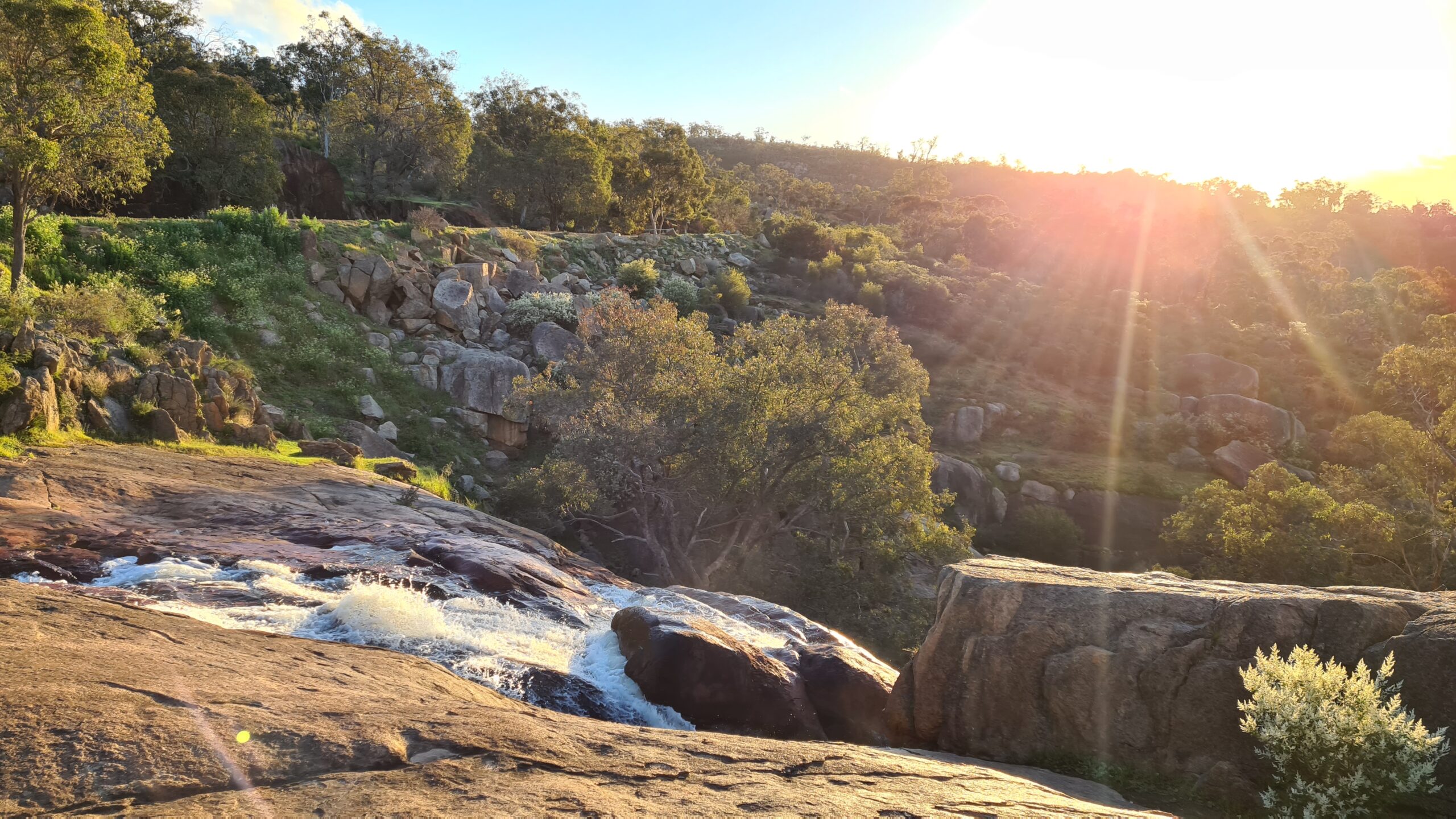 Christmas Tree Creek Twilight Hike