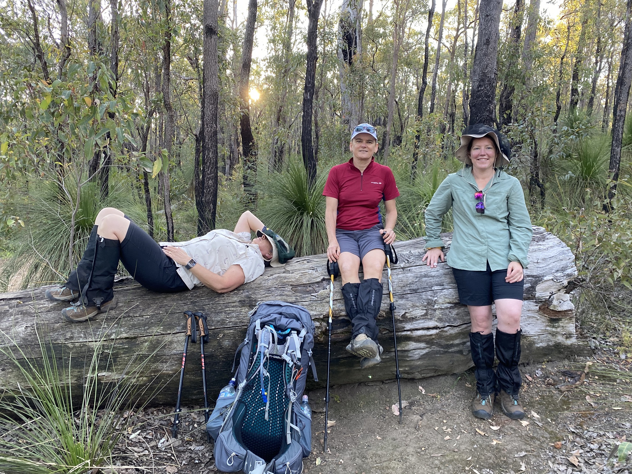 Bibbulmun Multi-Day Hike | Darling Range