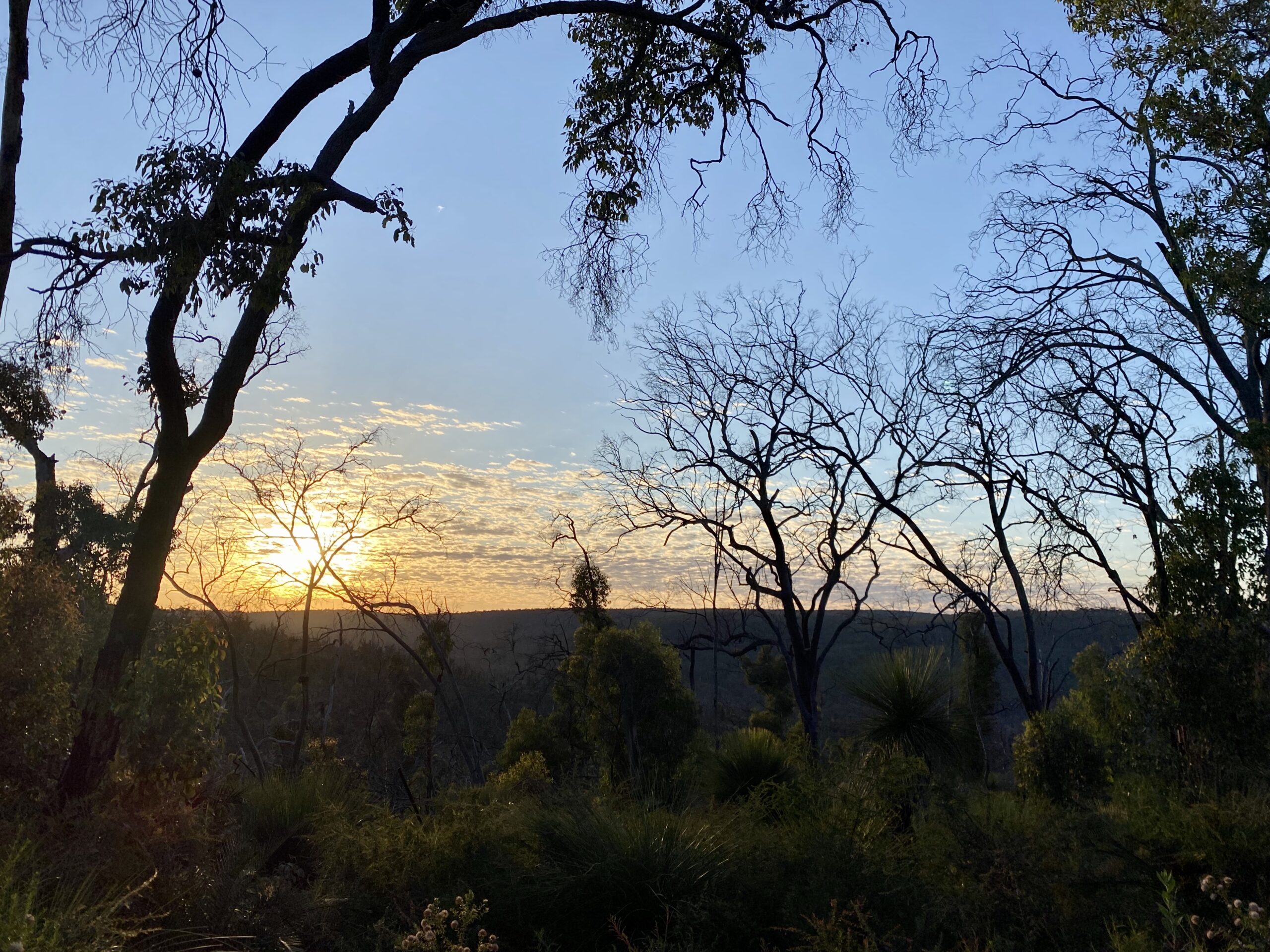 Bibbulmun Multi-Day Hike | Darling Range