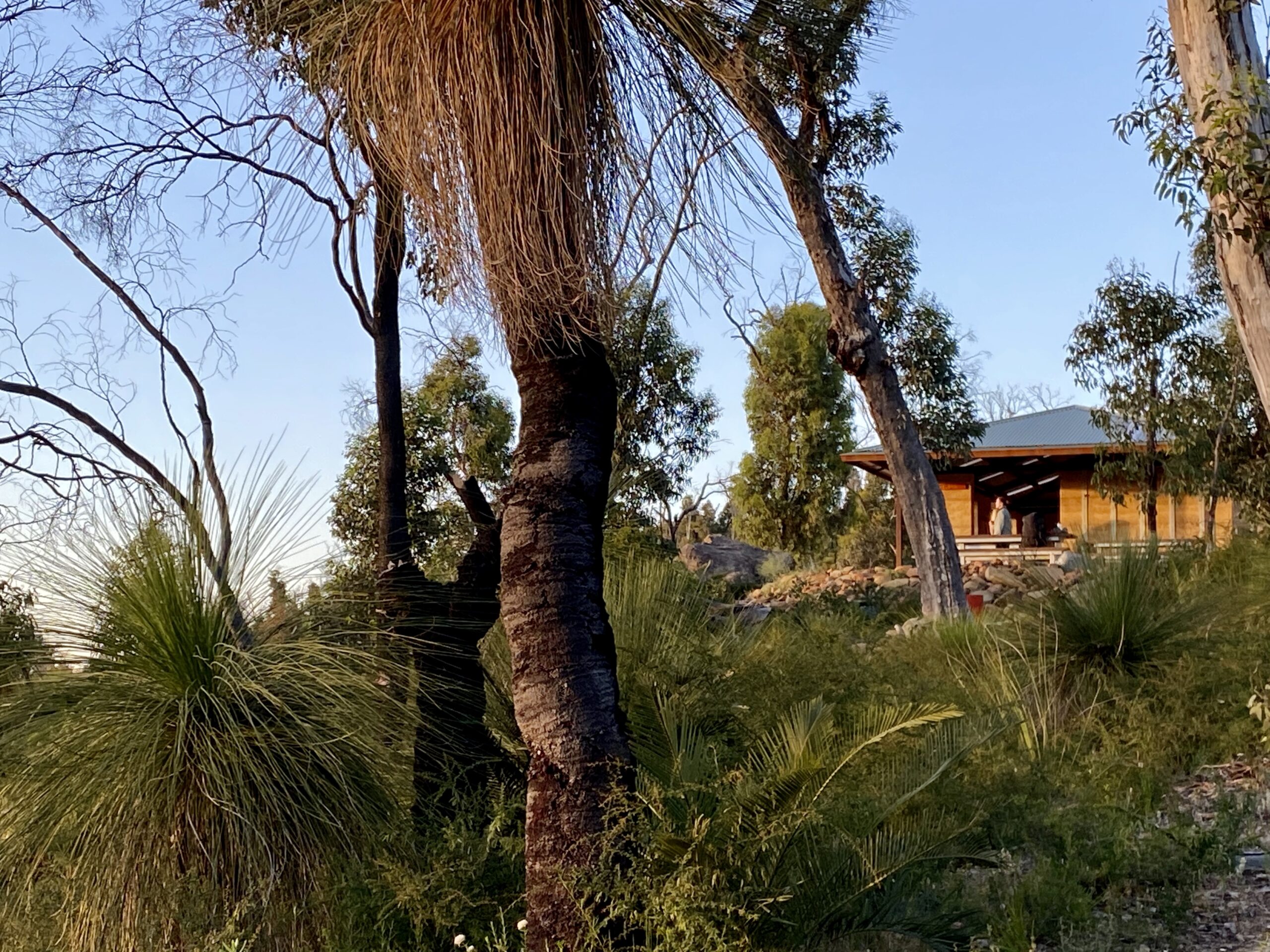 Bibbulmun Multi-Day Hike | Darling Range