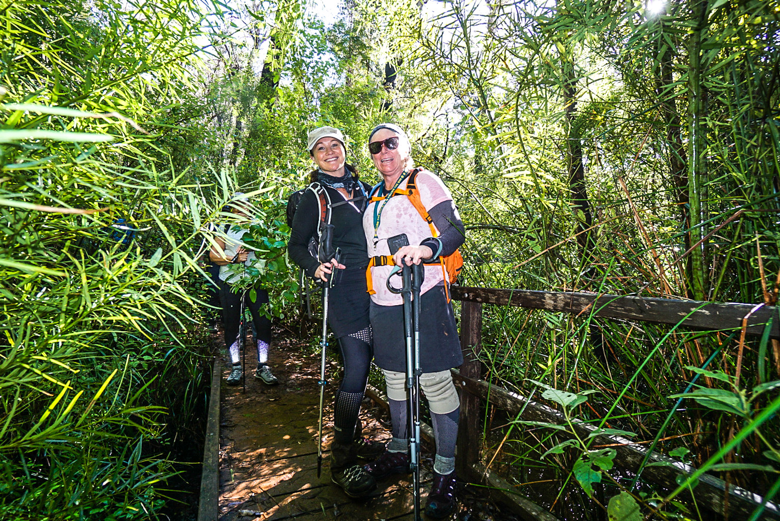 King Jarrah Hiking Experience