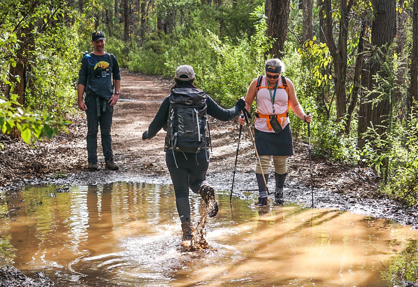 King Jarrah Hiking Experience