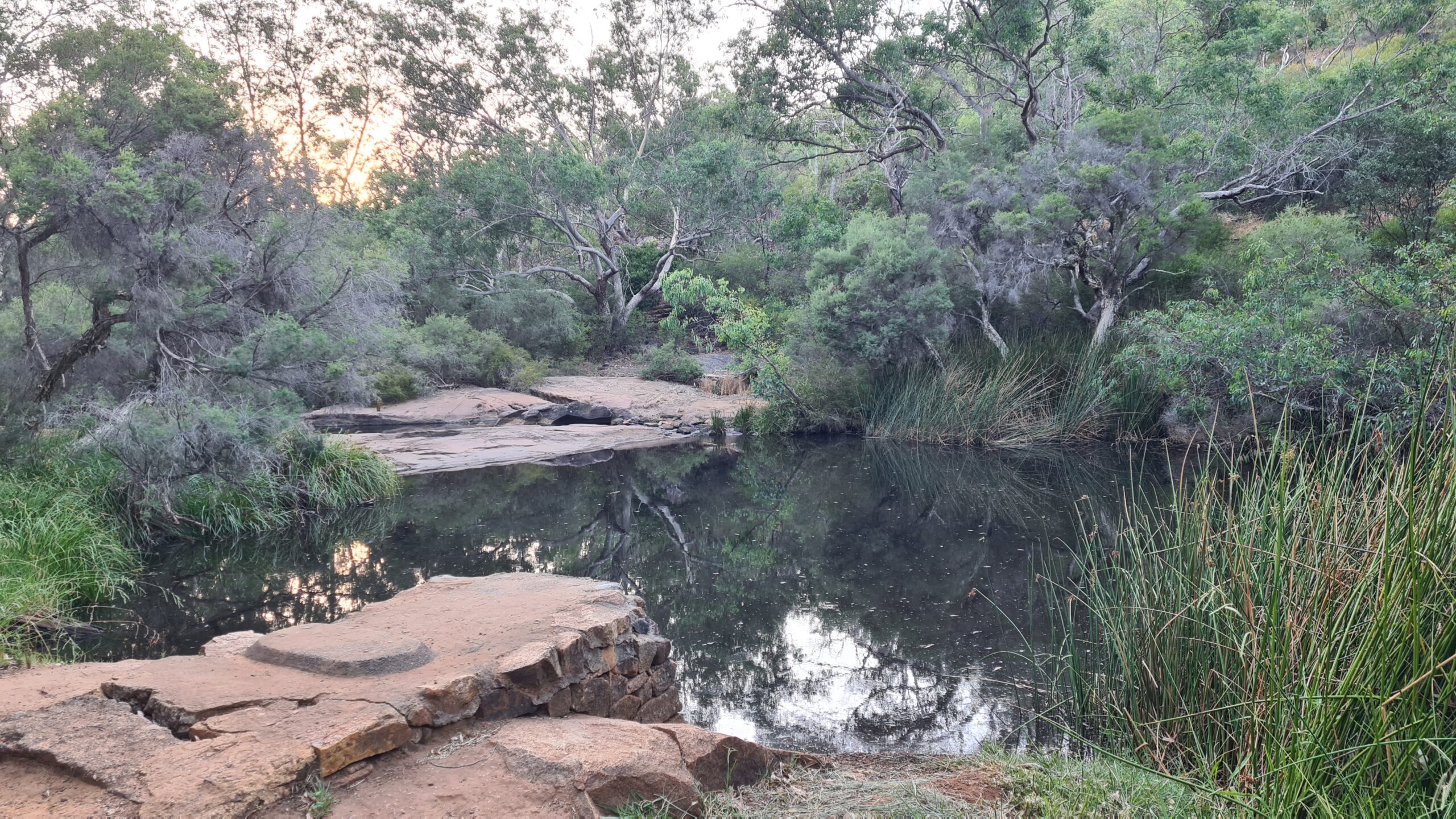 Roley Pools Beginners Hike