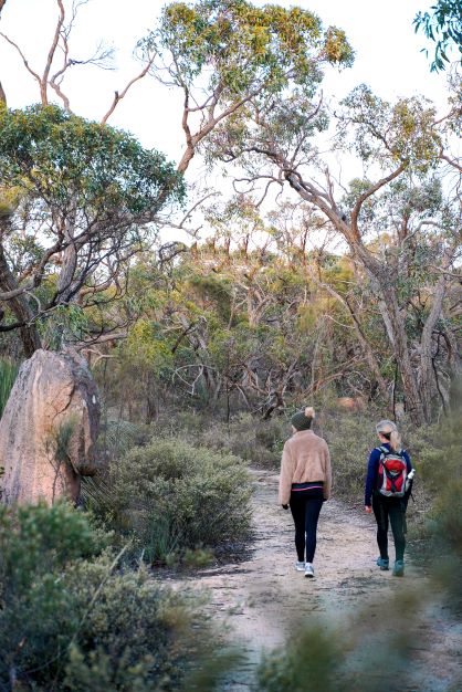 Nature Therapy Walk for 2