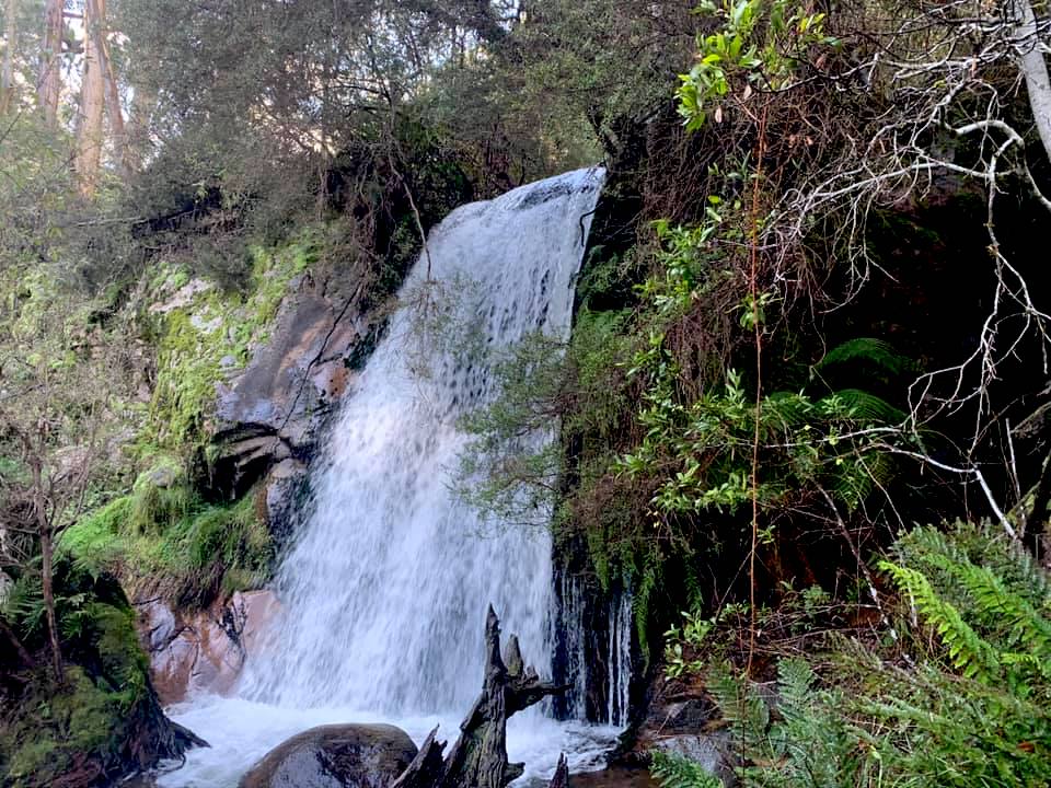 Waterfall Walk