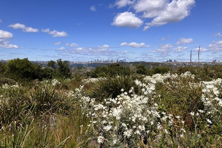 Nature, Culture and History, Immersive Guided Walk in North Head, Sydney