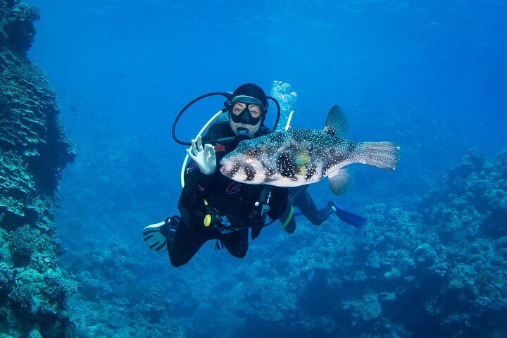 3D2N Great Barrier Reef Liveaboard Trip | Cairns