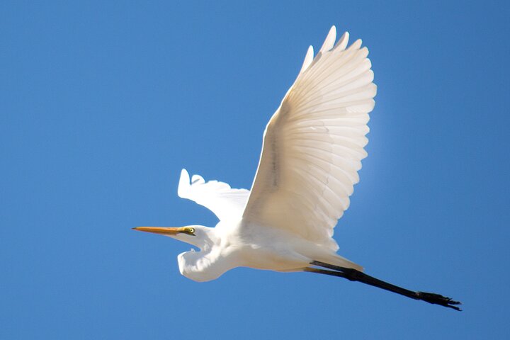 Sunset Cruise on the Murchison River, Kalbarri (Nov to May)