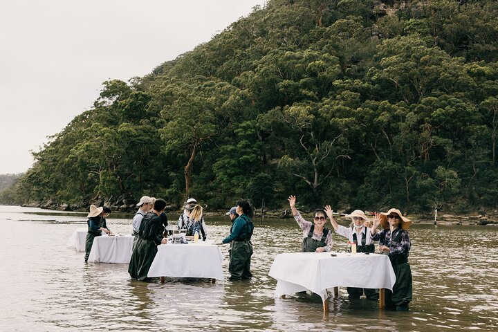 In Water Oyster Farm Tour and Dining, Sydney