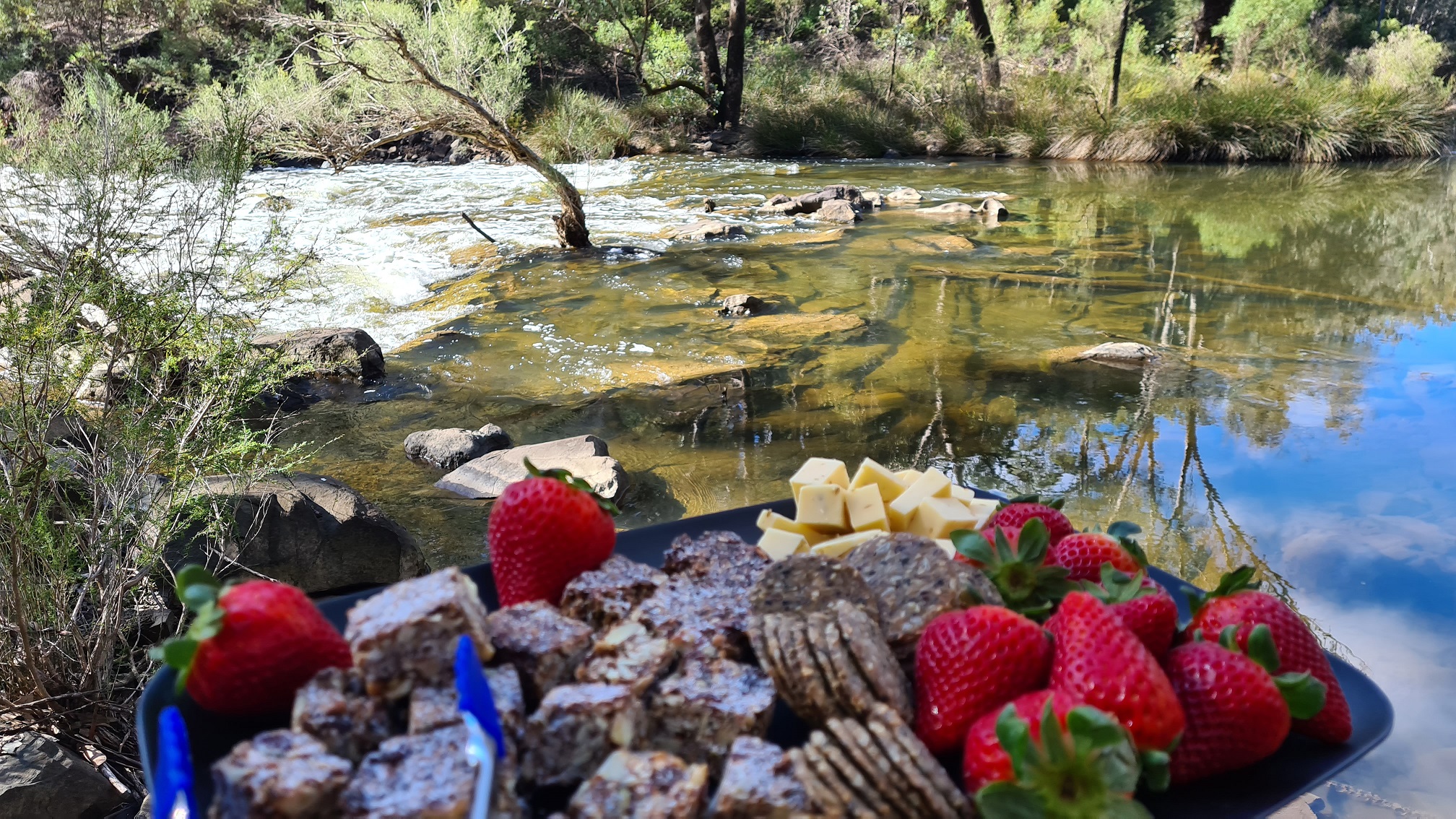 King Jarrah Hiking Experience