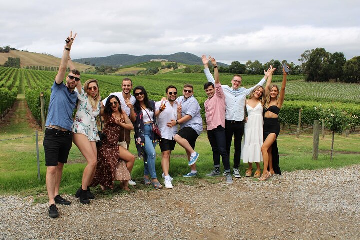 Red Therapy Wine Private Tour in Mornington Peninsula