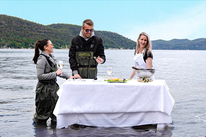 In Water Oyster Farm Tour and Dining, Sydney