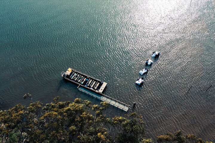 In Water Oyster Farm Tour and Dining, Sydney