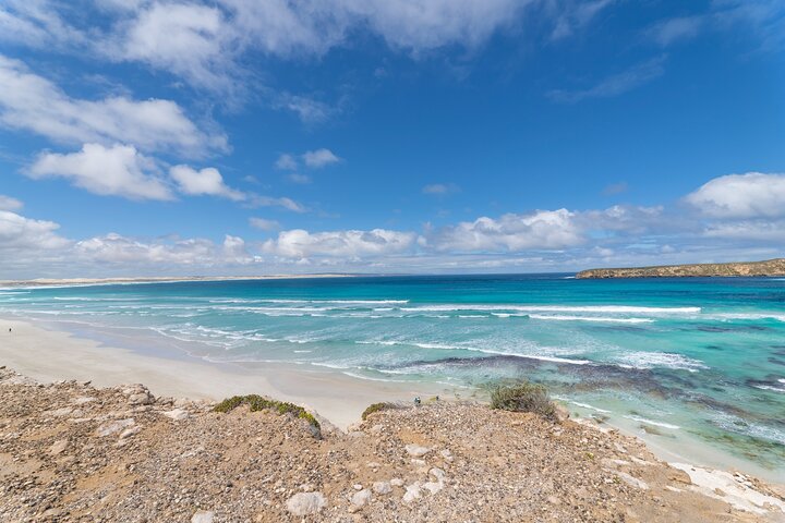 Coffin Bay National Park Half-day 4WD Tour