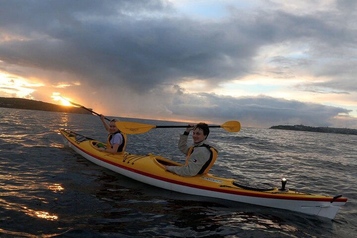 Beautiful Middle Harbour Sunriser / Guided Kayaking Private Tour