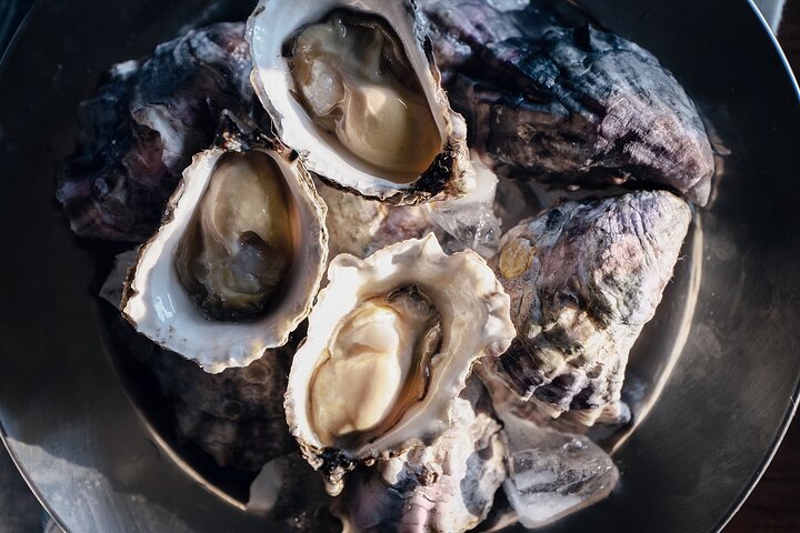 In Water Oyster Farm Tour and Dining, Sydney