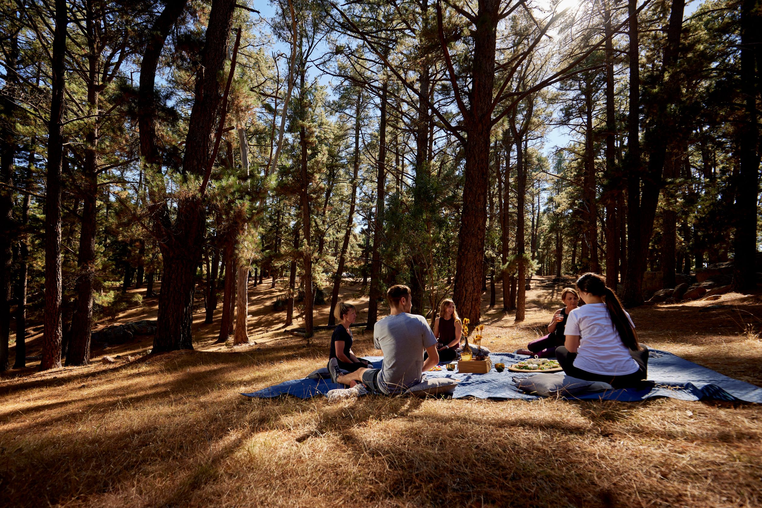 Sunrise Walk, Yoga and Picnic Breakfast (group)