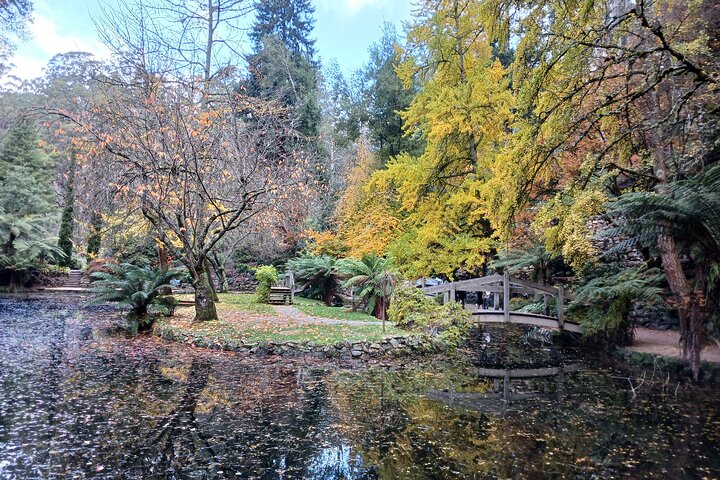 Dandenong Ranges Private Day Tour