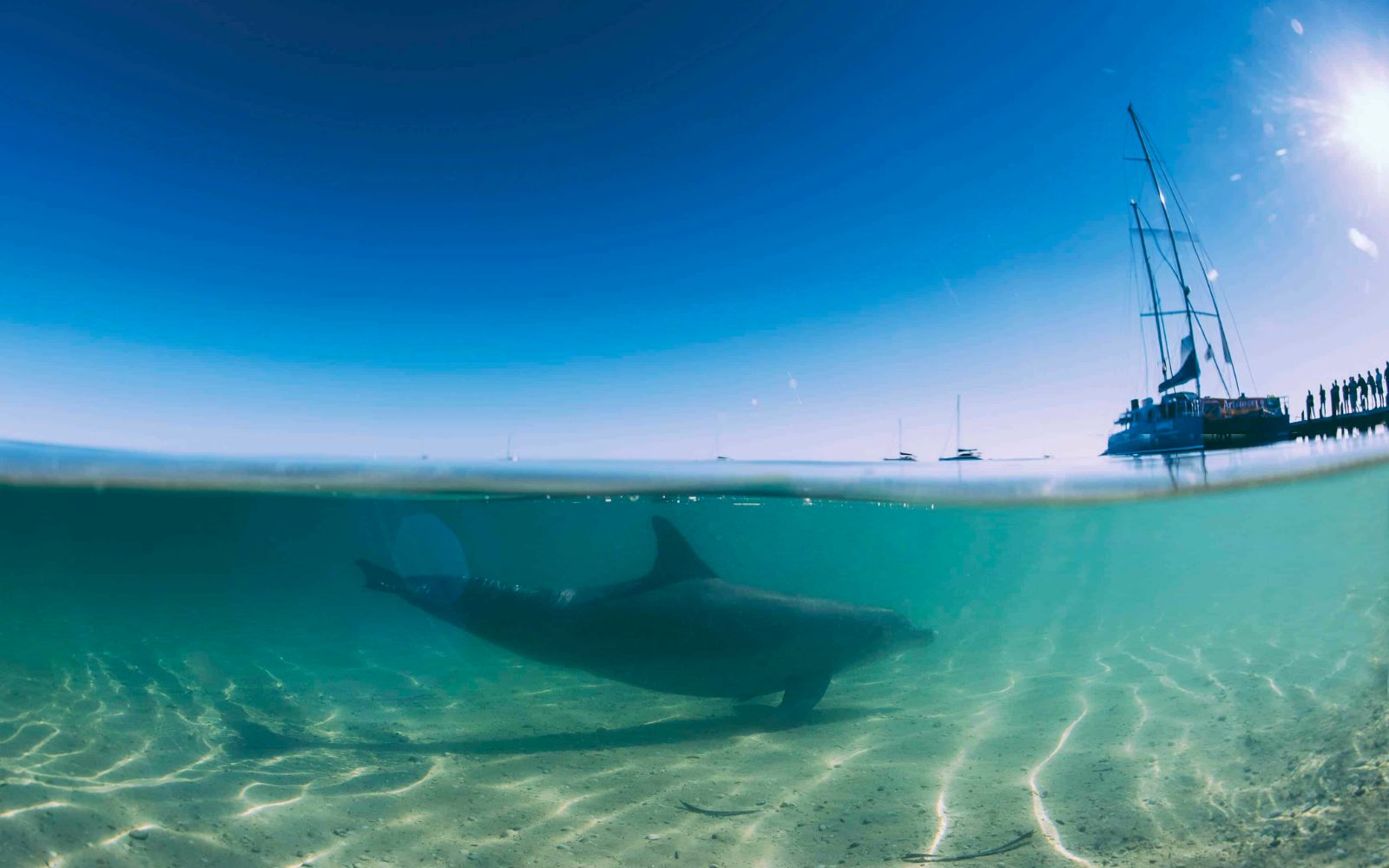 10 Day Perth to Perth Loop Adventure Tour