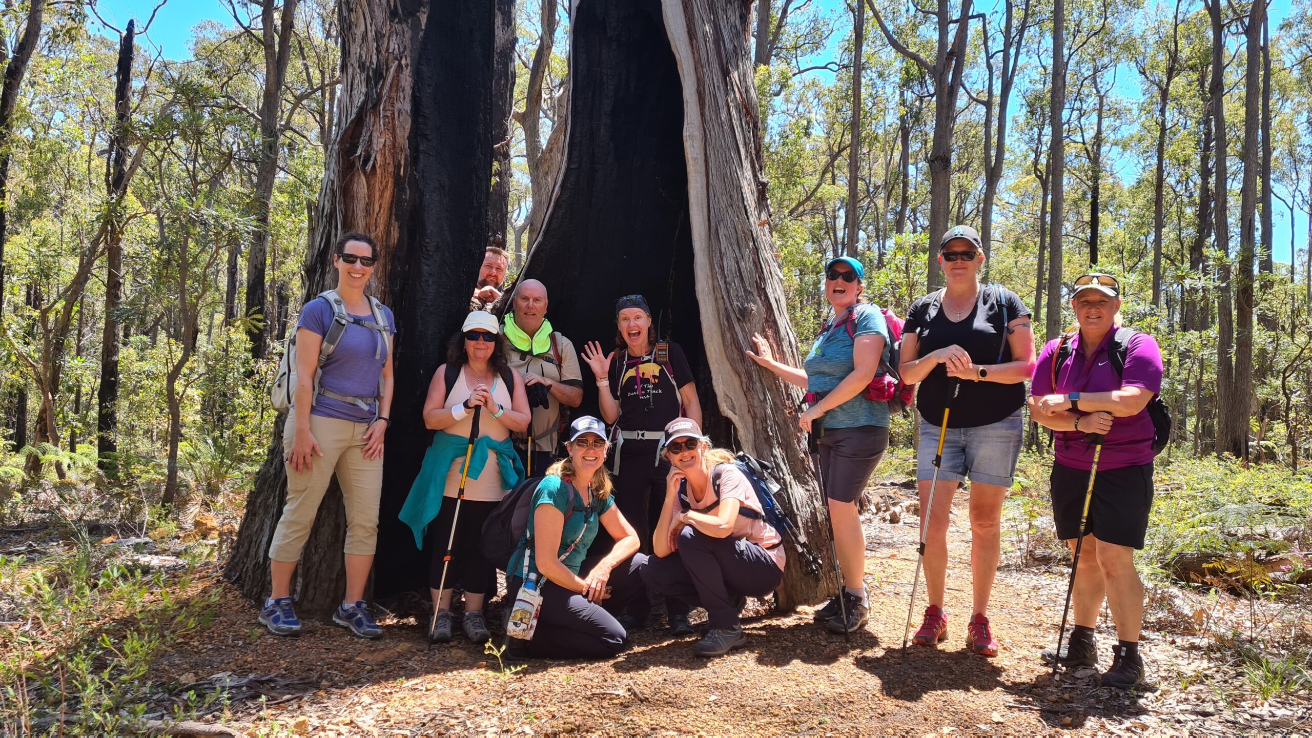 King Jarrah Hiking Experience