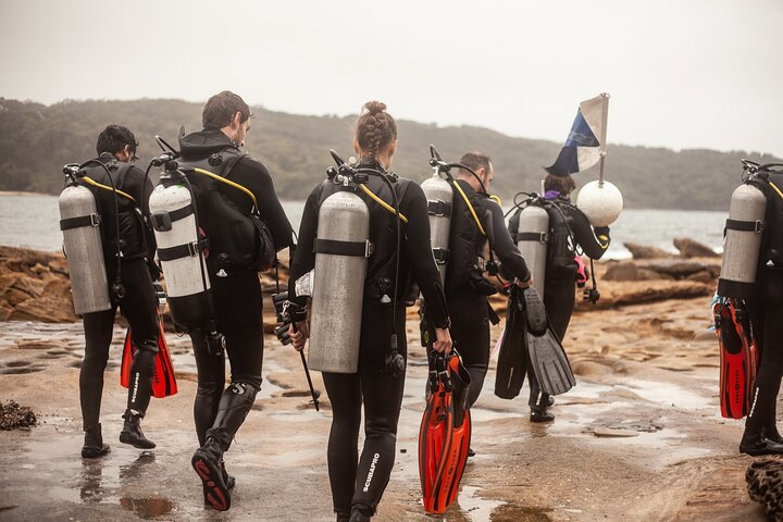 Half-Day Private Discover Dive at Australia's Iconic Beach