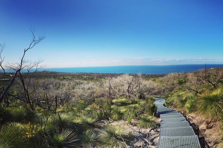 Nature, Culture and History, Immersive Guided Walk in North Head, Sydney