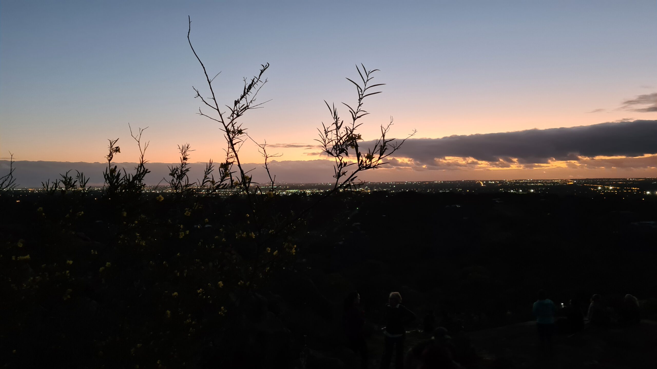 Christmas Tree Creek Twilight Hike