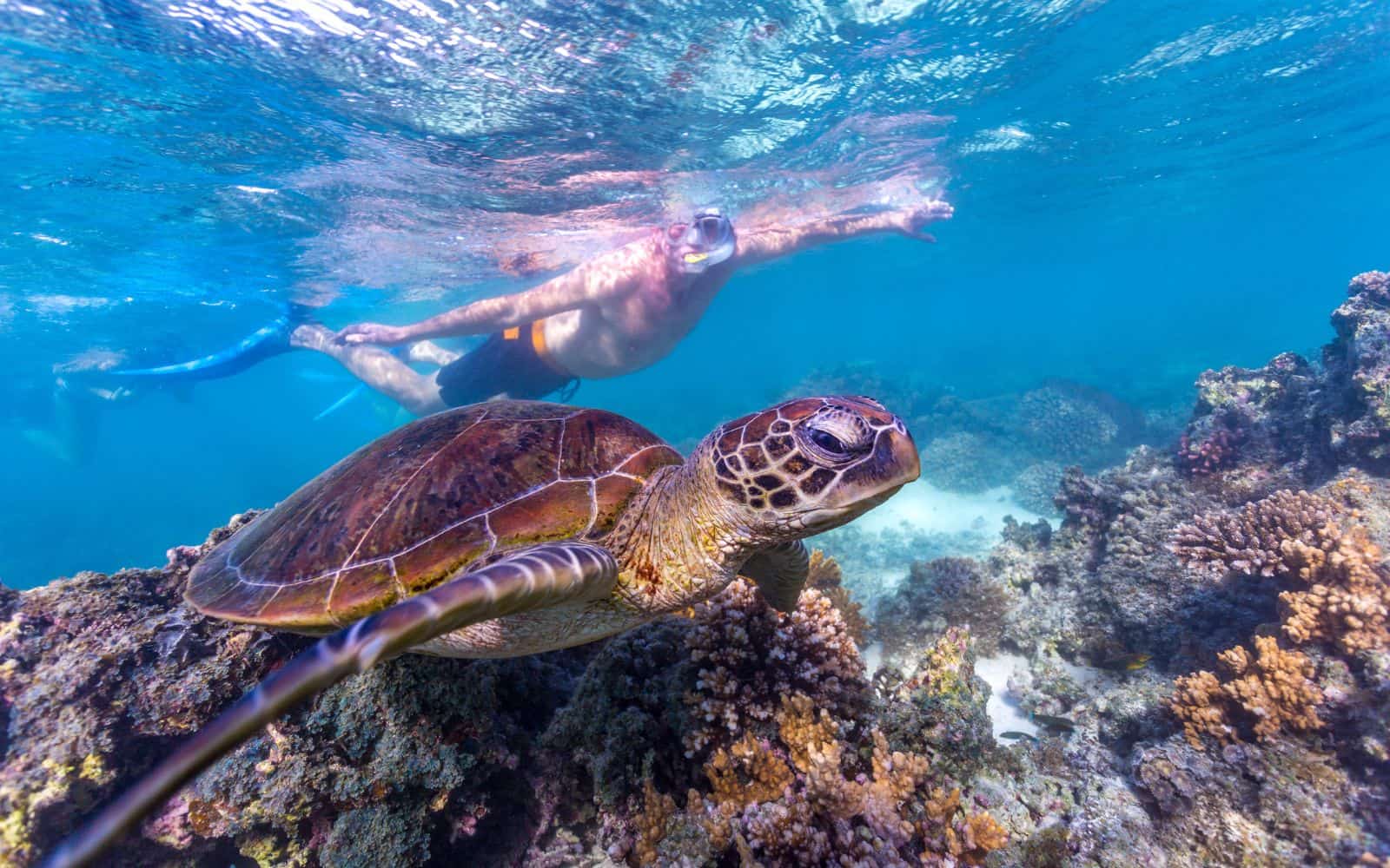 10 Day Perth to Perth Loop Adventure Tour
