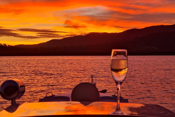 Sunset Tour Turtle Spotting Cruise in Queensland