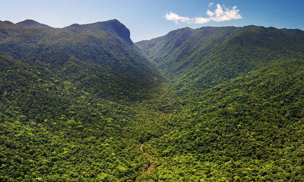 Mossman Gorge Adventure Day with River Drift Snorkelling