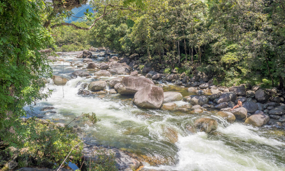 Mossman Gorge Adventure Day with River Drift Snorkelling