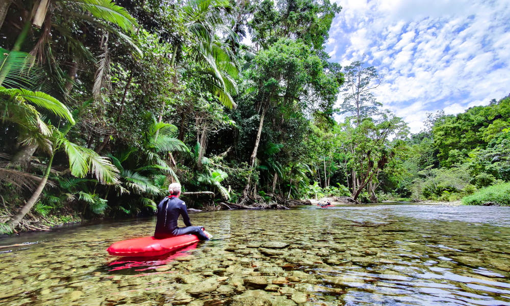 Mossman Gorge Adventure Day with River Drift Snorkelling