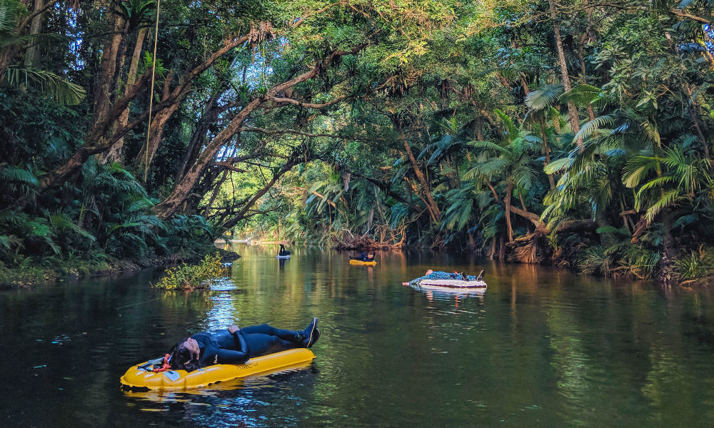 Mossman Gorge Adventure Day with River Drift Snorkelling